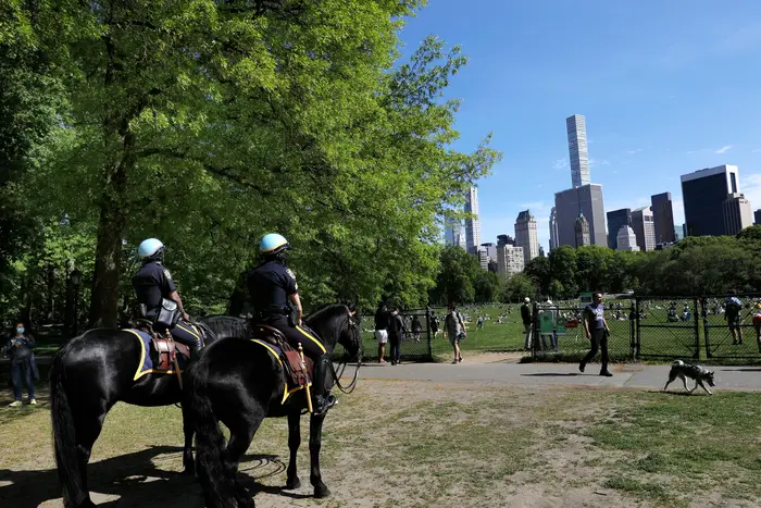 New York City Mounted Police patrol Central Park's Sheep Meadow in May.